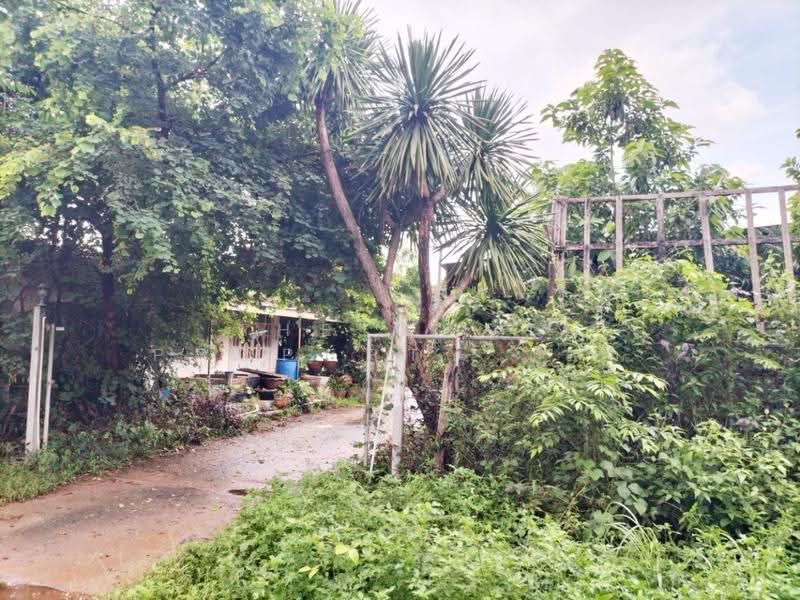 ที่ดินวิศิษฐ์ บึงกาฬ, Bueng Kan, Wisit, Mueang Bueng Kan, Bueng Kan, , 82,492 sqm, Land For Sale, by The Best Property เสก, 500546548 - DDproperty.com