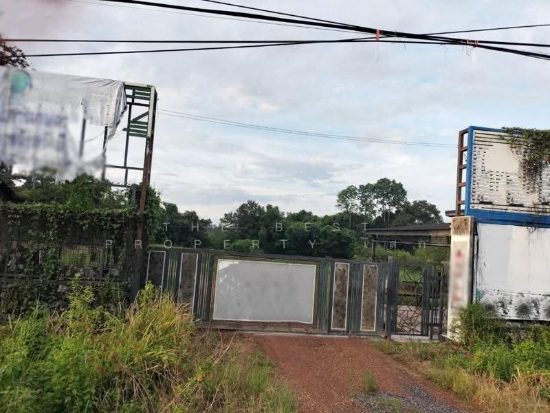 ที่ดินวิศิษฐ์ บึงกาฬ, Bueng Kan, Wisit, Mueang Bueng Kan, Bueng Kan, , 82,492 sqm, Land For Sale, by The Best Property เสก, 500546548 - DDproperty.com