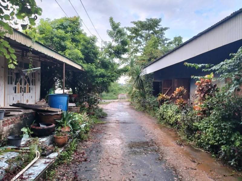 ที่ดินวิศิษฐ์ บึงกาฬ, บึงกาฬ, วิศิษฐ์, เมืองบึงกาฬ, บึงกาฬ, 82,492 ตร.ม., ที่ดิน ขาย, โดย The Best Property เสก, 500546548 - DDproperty.com