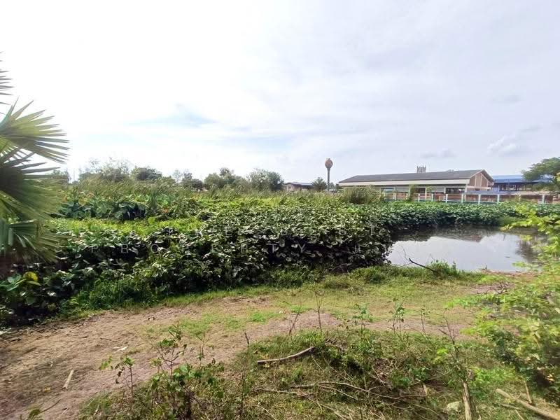 ที่ดินพนัสนิคม ชลบุรี, Chon Buri (Pattaya), Na Roek, Phanat Nikhom, Chon Buri (Pattaya), , 9,600 sqm, Land For Sale, by The Best Property แบงค์, 500546553 - DDproperty.com