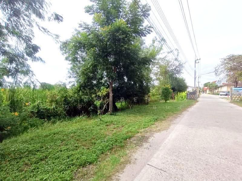 ที่ดินพนัสนิคม ชลบุรี, Chon Buri (Pattaya), Na Roek, Phanat Nikhom, Chon Buri (Pattaya), , 9,600 sqm, Land For Sale, by The Best Property แบงค์, 500546553 - DDproperty.com
