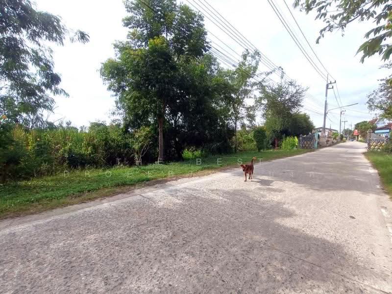 ที่ดินพนัสนิคม ชลบุรี, Chon Buri (Pattaya), Na Roek, Phanat Nikhom, Chon Buri (Pattaya), , 9,600 sqm, Land For Sale, by The Best Property แบงค์, 500546553 - DDproperty.com