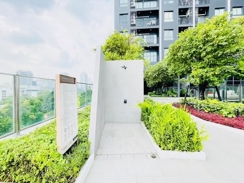 IDEO Sukhumvit Rama 4 : ไอดีโอ สุขุมวิท - พระราม 4, กรุงเทพ, ซอยสุขุมวิท 44 ถนนสุขุมวิท, พระโขนง, คลองเตย, กรุงเทพ, 30 ตร.ม., คอนโด ให้เช่า, โดย Beyond360, 500546576 - DDproperty.com