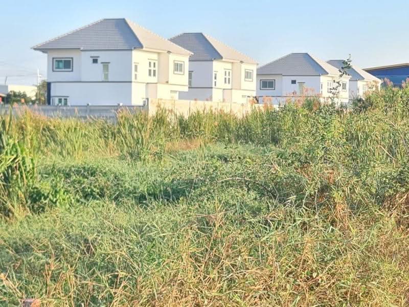 ที่ดินขุนศรี นนทบุรี, Nonthaburi, Khun Sri, Sai Noi, Nonthaburi, , 400 sqm, Land For Sale, by The Best Property มายด์, 500546645 - DDproperty.com