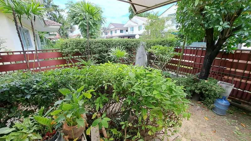 Chaiyapruek Petchkasem 81, Bangkok, Soi Petchkasem 81 Petchkasem Road, Nong Kang Plu, Nong Khaem, Bangkok, 4 Bedrooms, 170 sqm, Single Detached House For Sale, by ERA Thailand, 500546701 - DDproperty.com