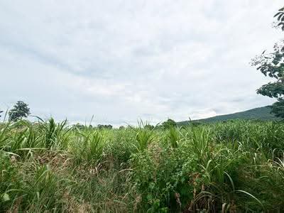 ขาย - ที่ดินบ้านฝาง ขอนแก่น, ขอนแก่น