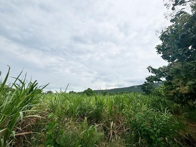 ที่ดินบ้านฝาง ขอนแก่น, Khon Kaen, Pa Ma Nao, Ban Fang, Khon Kaen, , 29,296 sqm, Land For Sale, by The Best Property พร, 500546715 - DDproperty.com