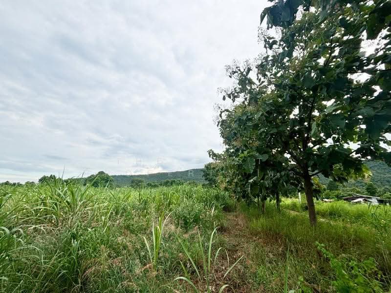 ที่ดินบ้านฝาง ขอนแก่น, Khon Kaen, Pa Ma Nao, Ban Fang, Khon Kaen, , 29,296 sqm, Land For Sale, by The Best Property พร, 500546715 - DDproperty.com