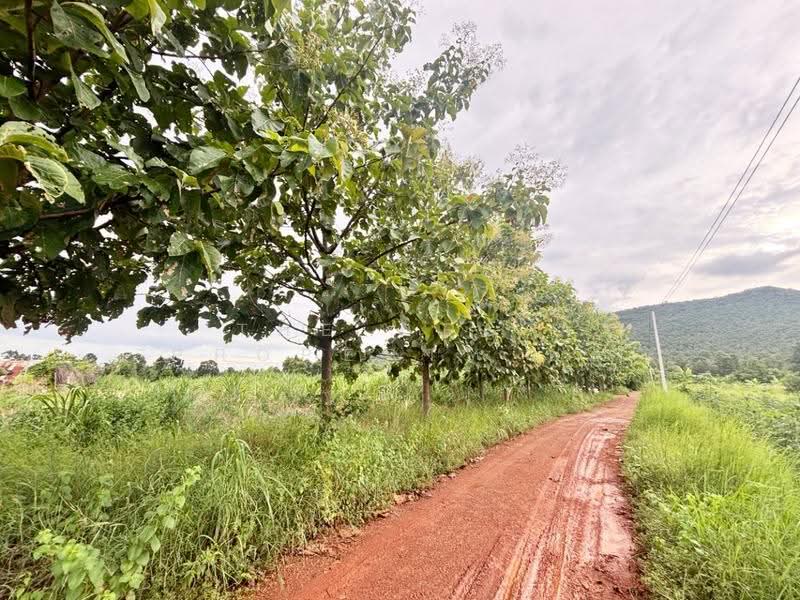 ที่ดินบ้านฝาง ขอนแก่น, Khon Kaen, Pa Ma Nao, Ban Fang, Khon Kaen, , 29,296 sqm, Land For Sale, by The Best Property พร, 500546715 - DDproperty.com