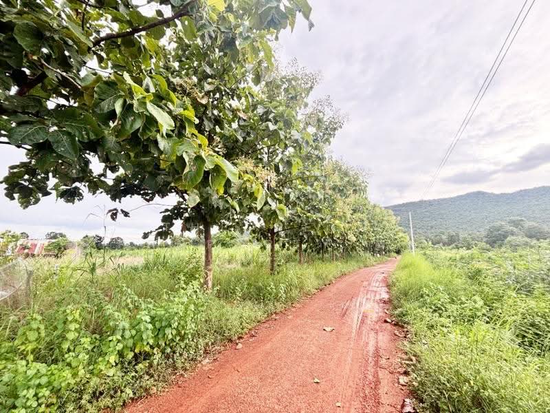 ที่ดินบ้านฝาง ขอนแก่น, Khon Kaen, Pa Ma Nao, Ban Fang, Khon Kaen, , 29,296 sqm, Land For Sale, by The Best Property พร, 500546715 - DDproperty.com