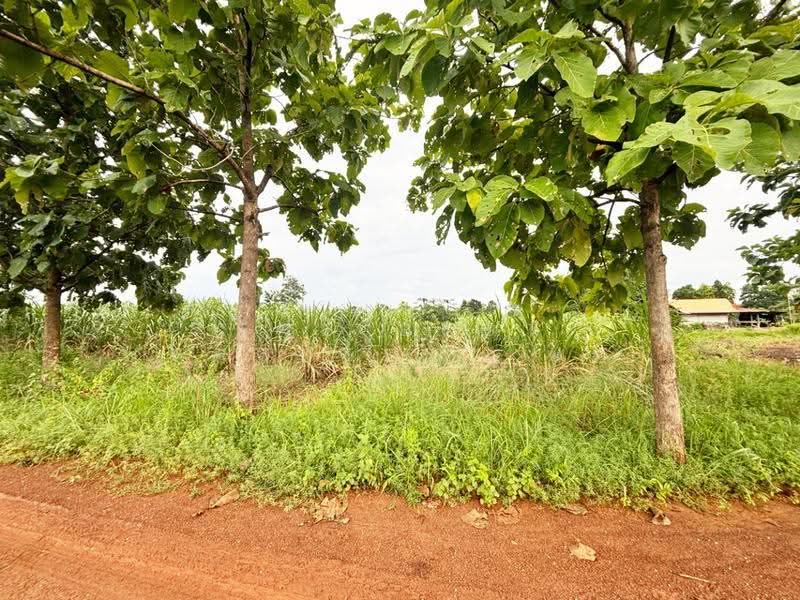 ที่ดินบ้านฝาง ขอนแก่น, ขอนแก่น, ป่ามะนาว, บ้านฝาง, ขอนแก่น, 29,296 ตร.ม., ที่ดิน ขาย, โดย The Best Property พร, 500546715 - DDproperty.com