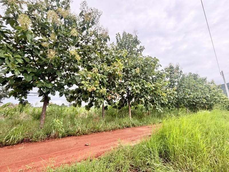 ที่ดินบ้านฝาง ขอนแก่น, ขอนแก่น, ป่ามะนาว, บ้านฝาง, ขอนแก่น, 29,296 ตร.ม., ที่ดิน ขาย, โดย The Best Property พร, 500546715 - DDproperty.com