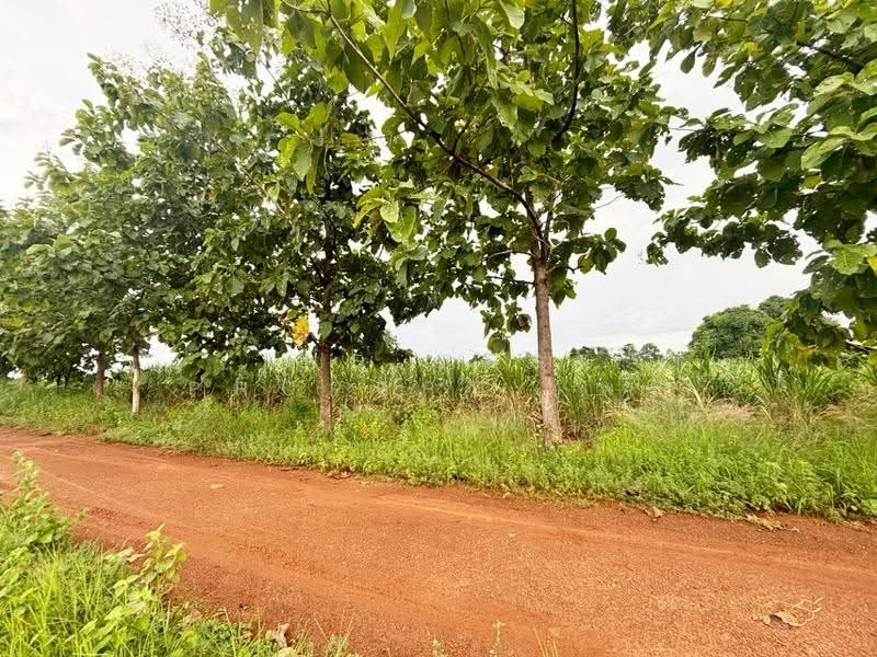 ที่ดินบ้านฝาง ขอนแก่น, Khon Kaen, Pa Ma Nao, Ban Fang, Khon Kaen, , 29,296 sqm, Land For Sale, by The Best Property พร, 500546715 - DDproperty.com