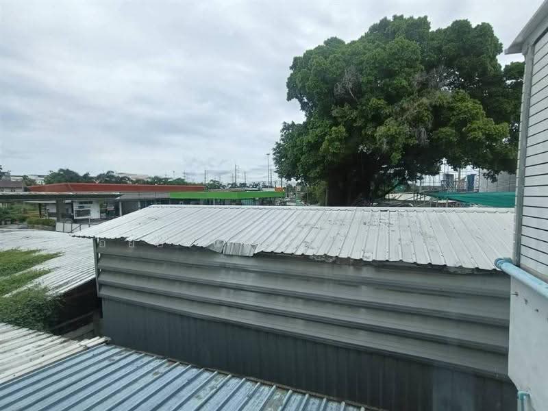 สำเพ็ง 2 กัลปพฤกษ์ (Sampeng 2 Kanlapaphruek ), Bangkok, ถนนกัลปพฤกษ์, Bang Khae, Bang Khae, Bangkok, , 200 sqm, Shophouse For Sale, by คุณ ณัฐพล ร้อยอำแพง (มาร์ค), 500546792 - DDproperty.com