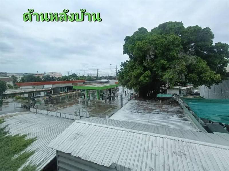 สำเพ็ง 2 กัลปพฤกษ์ (Sampeng 2 Kanlapaphruek ), Bangkok, ถนนกัลปพฤกษ์, Bang Khae, Bang Khae, Bangkok, , 200 sqm, Shophouse For Sale, by คุณ ณัฐพล ร้อยอำแพง (มาร์ค), 500546792 - DDproperty.com