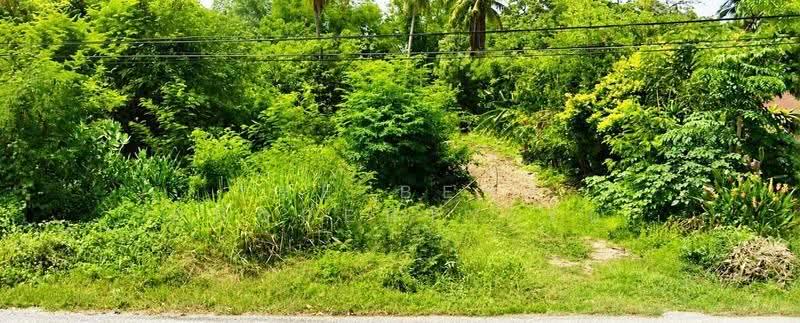 ที่ดินทองแสนขัน อุตรดิตถ์, Uttaradit, Bo Thong, Thong Saen Khan, Uttaradit, , 1,712 sqm, Land For Sale, by The Best Property รบ, 500546820 - DDproperty.com