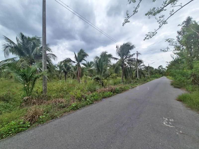 ที่ดินลาดใหญ่ สมุทรสงคราม, Samut Songkhram, Lat Yai, Muang Samut Songkhram, Samut Songkhram, , 11,797 sqm, Land For Sale, by The Best Property อิ๋ว, 500546832 - DDproperty.com