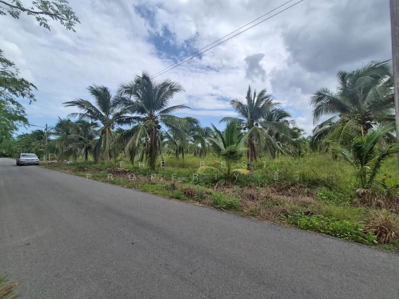 ที่ดินลาดใหญ่ สมุทรสงคราม, Samut Songkhram, Lat Yai, Muang Samut Songkhram, Samut Songkhram, , 11,797 sqm, Land For Sale, by The Best Property อิ๋ว, 500546832 - DDproperty.com