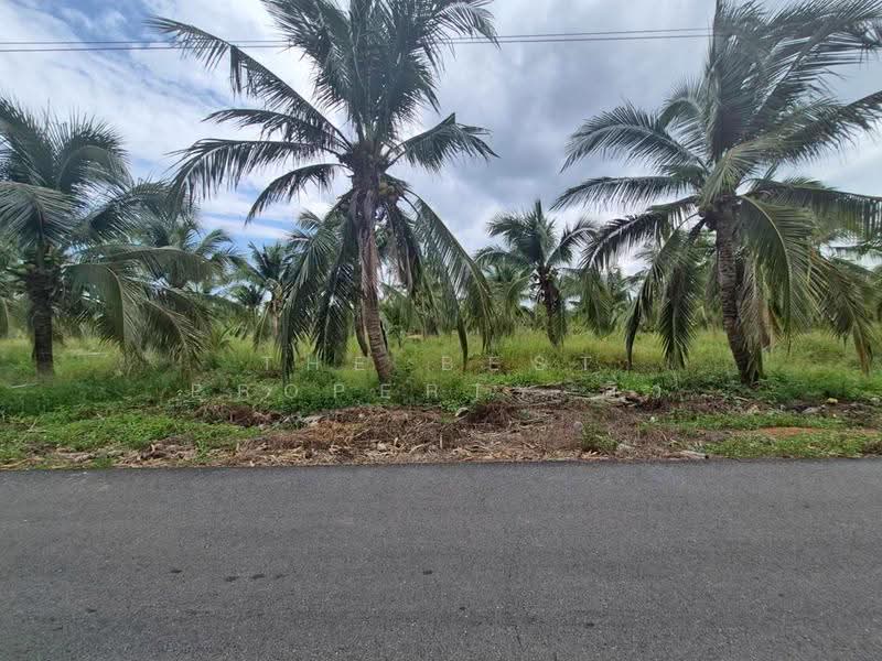 ที่ดินลาดใหญ่ สมุทรสงคราม, Samut Songkhram, Lat Yai, Muang Samut Songkhram, Samut Songkhram, , 11,797 sqm, Land For Sale, by The Best Property อิ๋ว, 500546832 - DDproperty.com