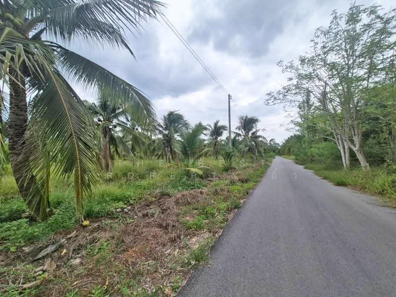 ที่ดินลาดใหญ่ สมุทรสงคราม, Samut Songkhram, Lat Yai, Muang Samut Songkhram, Samut Songkhram, , 11,797 sqm, Land For Sale, by The Best Property อิ๋ว, 500546832 - DDproperty.com