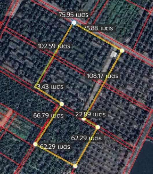 ที่ดินลาดใหญ่ สมุทรสงคราม, Samut Songkhram, Lat Yai, Muang Samut Songkhram, Samut Songkhram, , 11,797 sqm, Land For Sale, by The Best Property อิ๋ว, 500546832 - DDproperty.com