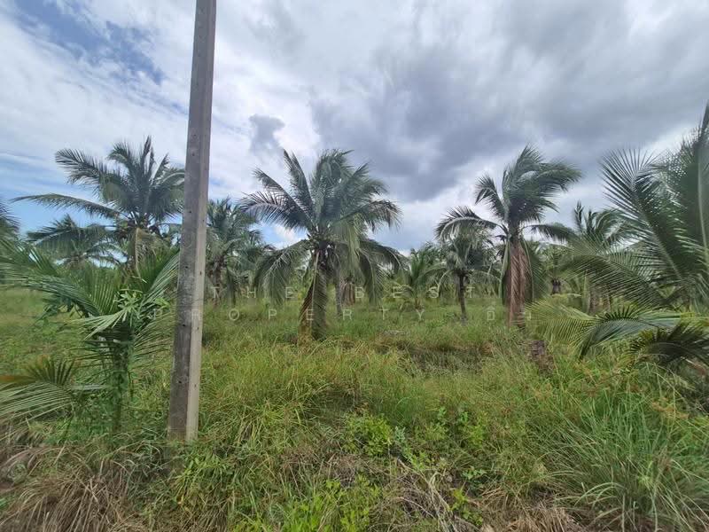 ที่ดินลาดใหญ่ สมุทรสงคราม, Samut Songkhram, Lat Yai, Muang Samut Songkhram, Samut Songkhram, , 11,797 sqm, Land For Sale, by The Best Property อิ๋ว, 500546832 - DDproperty.com