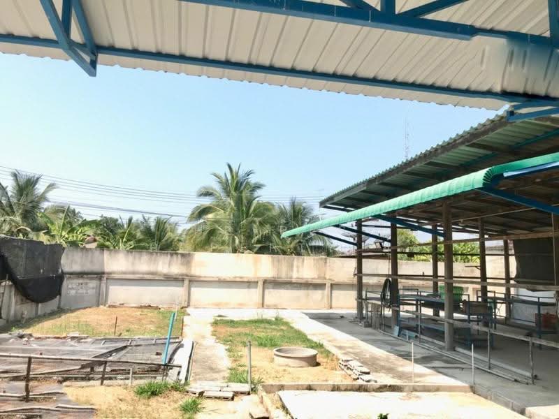 บ้านเดี่ยวบ้านปรก สมุทรสงคราม, สมุทรสงคราม, บ้านปรก, เมืองสมุทรสงคราม, สมุทรสงคราม, 100 ตร.ม., บ้านเดี่ยว ขาย, โดย The Best Property อ้อ, 500546908 - DDproperty.com