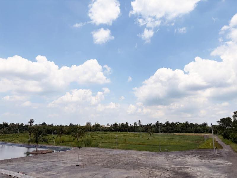 ที่ดินบางแก้ว ฉะเชิงเทรา, chachoengsao, Bang Kaeo, Muang Chachoengsao, Chachoengsao, , 7,316 sqm, Land For Sale, by The Best Property โม, 500546984 - DDproperty.com