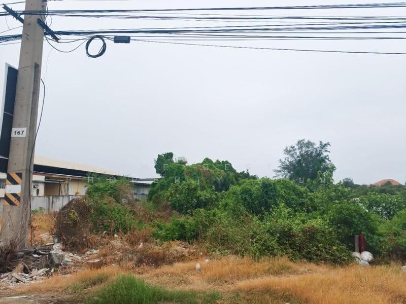 ที่ดินบางปะกง ฉะเชิงเทรา, ฉะเชิงเทรา, บางปะกง, ฉะเชิงเทรา, 1,964 ตร.ม., ที่ดิน ขาย, โดย The Best Property ซายน์, 500546998 - DDproperty.com