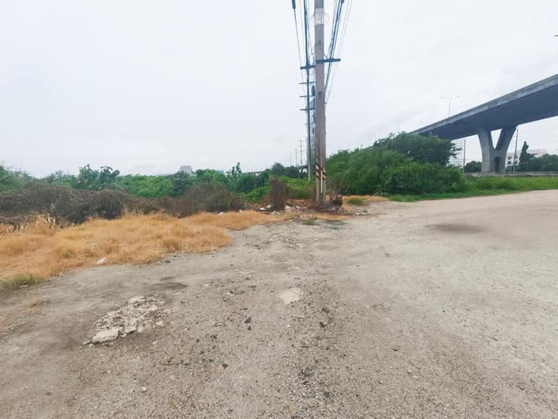 ที่ดินบางปะกง ฉะเชิงเทรา, ฉะเชิงเทรา, บางปะกง, ฉะเชิงเทรา, 1,964 ตร.ม., ที่ดิน ขาย, โดย The Best Property ซายน์, 500546998 - DDproperty.com