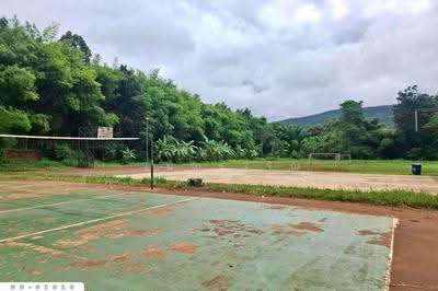 ขาย - ที่ดินป่าเมี่ยง 16 ไร่ 311 ตร.ว. ดอยสะเก็ด เชียงใหม่ DD-01010, เชียงใหม่