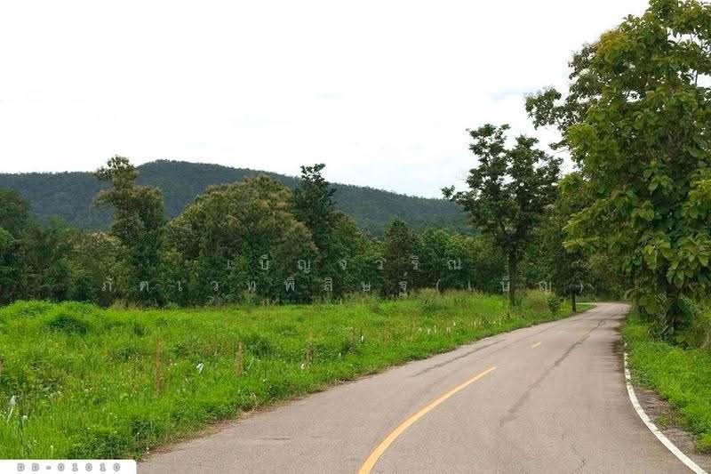 Forest land in Pa Miang Doi Saket Chiang Mai 16 Rai, 311 Sq. Wah DD-01010, Chiang Mai, Mae Pong, Doi Saket, Chiang Mai, , 26,844 sqm, Land For Sale, by Benchawarin Pakkawetppisit, 500547154 - DDproperty.com