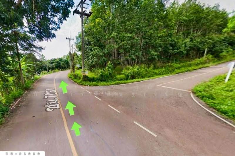 Forest land in Pa Miang Doi Saket Chiang Mai 16 Rai, 311 Sq. Wah DD-01010, Chiang Mai, Mae Pong, Doi Saket, Chiang Mai, , 26,844 sqm, Land For Sale, by Benchawarin Pakkawetppisit, 500547154 - DDproperty.com
