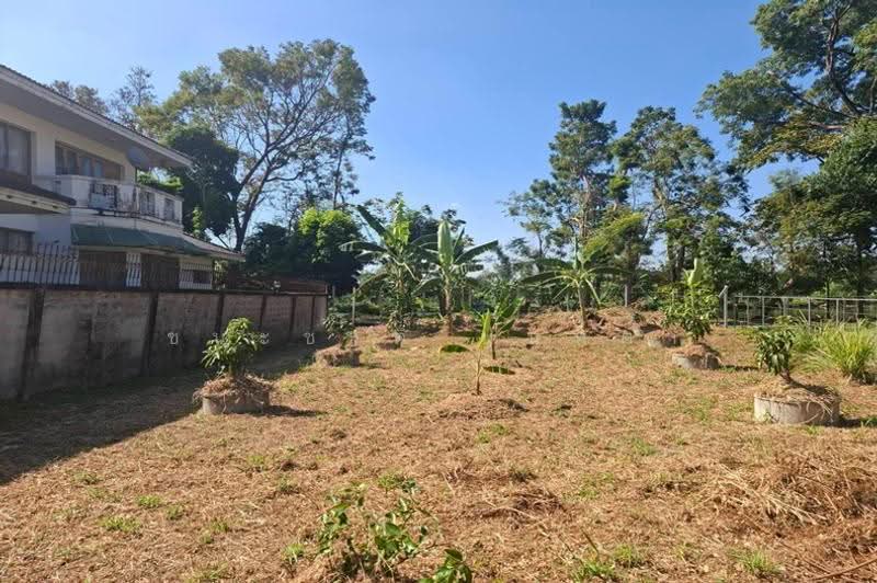ที่ดินเปล่า เนื้อที่ 95 ตร.ว. นวมินทร์ 24 (ซอยอุเทน 16), Bangkok, Khlong Kum, Bueng Kum, Bangkok, , 380 sqm, Land For Sale, by ชนะชาติ นนท์ตา, 500547203 - DDproperty.com