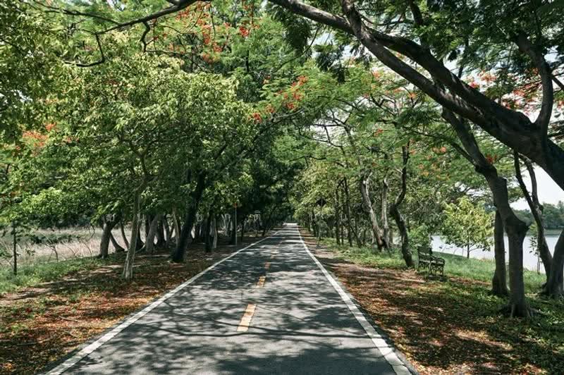 ที่ดินเปล่า เนื้อที่ 95 ตร.ว. นวมินทร์ 24 (ซอยอุเทน 16), กรุงเทพ, คลองกุ่ม, บึงกุ่ม, กรุงเทพ, 380 ตร.ม., Land ขาย, โดย ชนะชาติ นนท์ตา, 500547203 - DDproperty.com