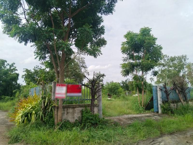 ที่ดินพนัสนิคม ชลบุรี, Chon Buri (Pattaya), Rai Lak Thong, Phanat Nikhom, Chon Buri (Pattaya), , 768 sqm, Land For Sale, by The Best Property บี, 500547338 - DDproperty.com