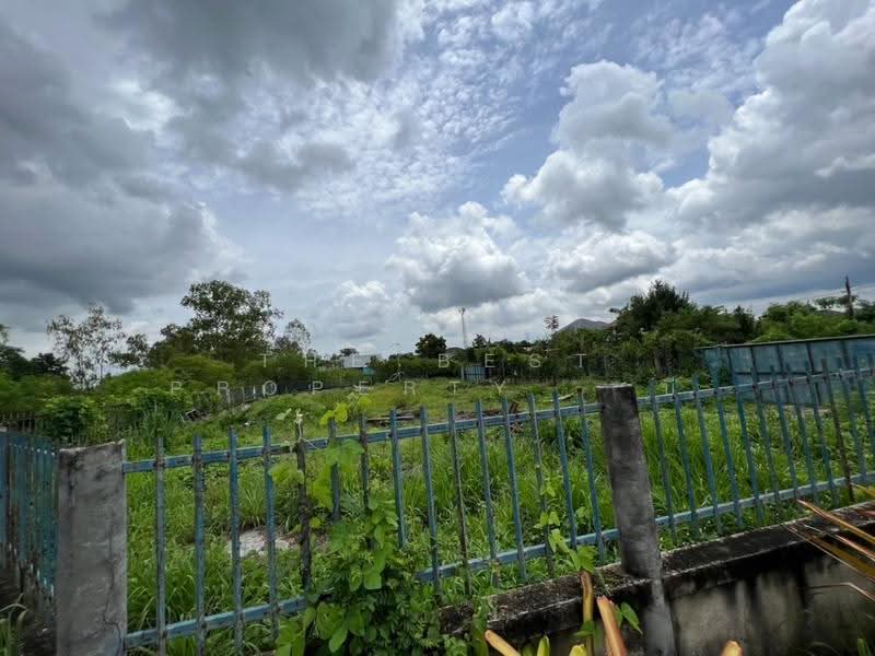 ที่ดินพนัสนิคม ชลบุรี, Chon Buri (Pattaya), Rai Lak Thong, Phanat Nikhom, Chon Buri (Pattaya), , 768 sqm, Land For Sale, by The Best Property บี, 500547338 - DDproperty.com