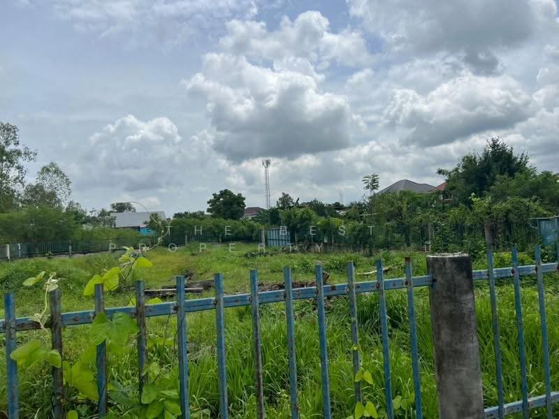 ที่ดินพนัสนิคม ชลบุรี, Chon Buri (Pattaya), Rai Lak Thong, Phanat Nikhom, Chon Buri (Pattaya), , 768 sqm, Land For Sale, by The Best Property บี, 500547338 - DDproperty.com