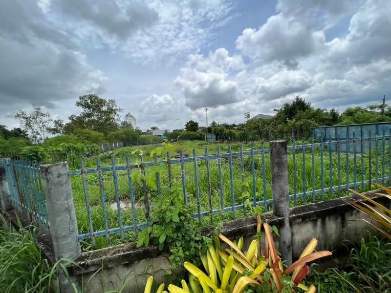 ที่ดินพนัสนิคม ชลบุรี, Chon Buri (Pattaya), Rai Lak Thong, Phanat Nikhom, Chon Buri (Pattaya), , 768 sqm, Land For Sale, by The Best Property บี, 500547338 - DDproperty.com