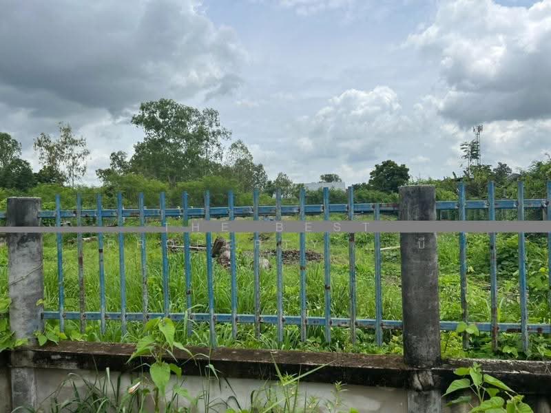 ที่ดินพนัสนิคม ชลบุรี, Chon Buri (Pattaya), Rai Lak Thong, Phanat Nikhom, Chon Buri (Pattaya), , 768 sqm, Land For Sale, by The Best Property บี, 500547338 - DDproperty.com