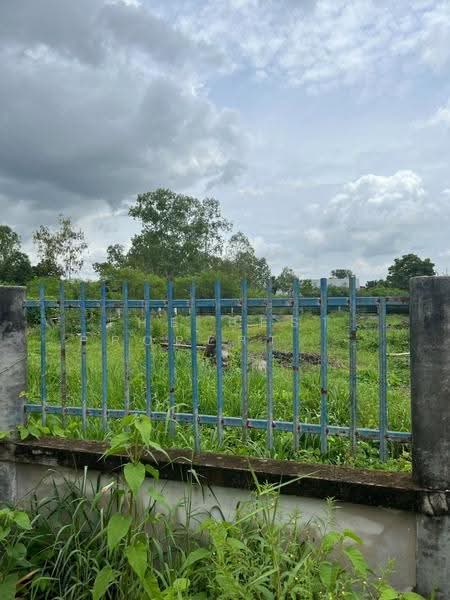 ที่ดินพนัสนิคม ชลบุรี, Chon Buri (Pattaya), Rai Lak Thong, Phanat Nikhom, Chon Buri (Pattaya), , 768 sqm, Land For Sale, by The Best Property บี, 500547338 - DDproperty.com