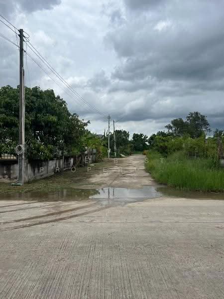 ที่ดินพนัสนิคม ชลบุรี, Chon Buri (Pattaya), Rai Lak Thong, Phanat Nikhom, Chon Buri (Pattaya), , 768 sqm, Land For Sale, by The Best Property บี, 500547338 - DDproperty.com