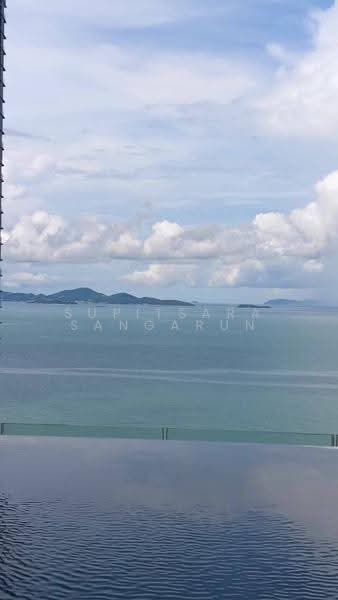 The Riviera Wongamat : เดอะ ริเวียร่า วงศ์อมาตย์, ชลบุรี, นาเกลือ 16, นาเกลือ, บางละมุง, ชลบุรี, 35 ตร.ม., คอนโด ขาย, โดย Supitsara  Sangarun, 500547597 - DDproperty.com