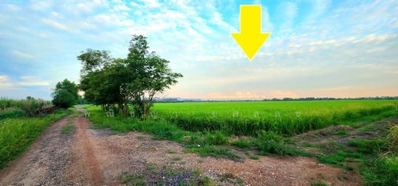 ไม่พบโครงการ, Nakhon Nayok, -, Srisa Krabu, Ongkharak, Nakhon Nayok, , 13,900 sqm, Land For Sale, by Phanitchaya Yossala, 500547703 - DDproperty.com