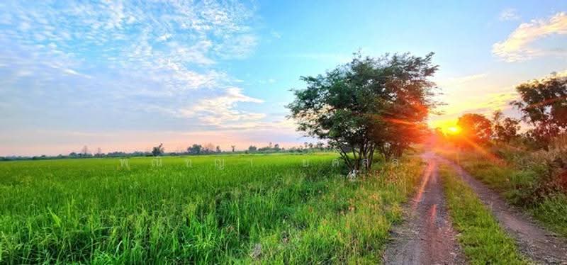 ไม่พบโครงการ, Nakhon Nayok, -, Srisa Krabu, Ongkharak, Nakhon Nayok, , 13,900 sqm, Land For Sale, by Phanitchaya Yossala, 500547703 - DDproperty.com