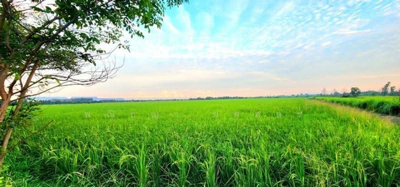 ไม่พบโครงการ, Nakhon Nayok, -, Srisa Krabu, Ongkharak, Nakhon Nayok, , 13,900 sqm, Land For Sale, by Phanitchaya Yossala, 500547703 - DDproperty.com