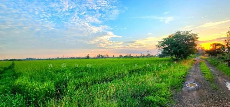 ไม่พบโครงการ, Nakhon Nayok, -, Srisa Krabu, Ongkharak, Nakhon Nayok, , 13,900 sqm, Land For Sale, by Phanitchaya Yossala, 500547703 - DDproperty.com