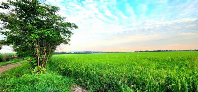 ไม่พบโครงการ, Nakhon Nayok, -, Srisa Krabu, Ongkharak, Nakhon Nayok, , 13,900 sqm, Land For Sale, by Phanitchaya Yossala, 500547703 - DDproperty.com