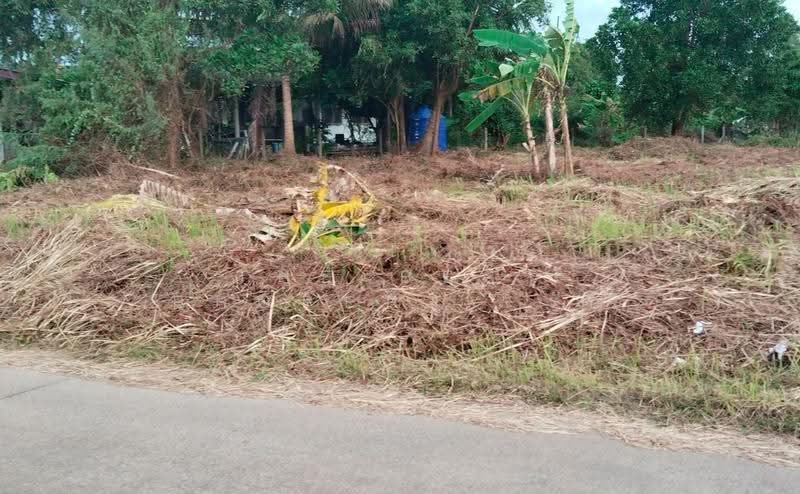 ที่ดินเกาะขวาง จันทบุรี, Chanthaburi, Ko Khwang, Muang Chanthaburi, Chanthaburi, , 1,336 sqm, Land For Sale, by The Best Property รัก, 500547742 - DDproperty.com
