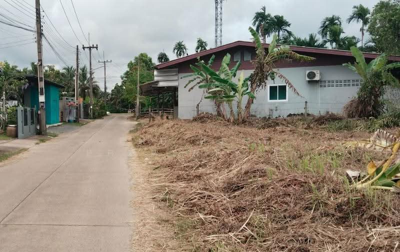 ที่ดินเกาะขวาง จันทบุรี, Chanthaburi, Ko Khwang, Muang Chanthaburi, Chanthaburi, , 1,336 sqm, Land For Sale, by The Best Property รัก, 500547742 - DDproperty.com